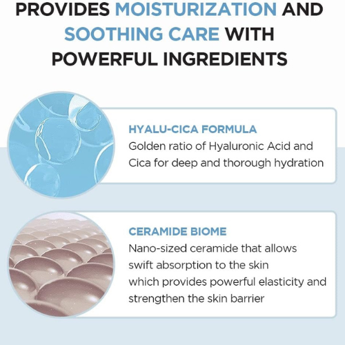 Untitled design(1295)