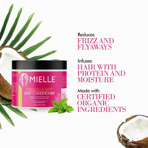 Untitled design(795)