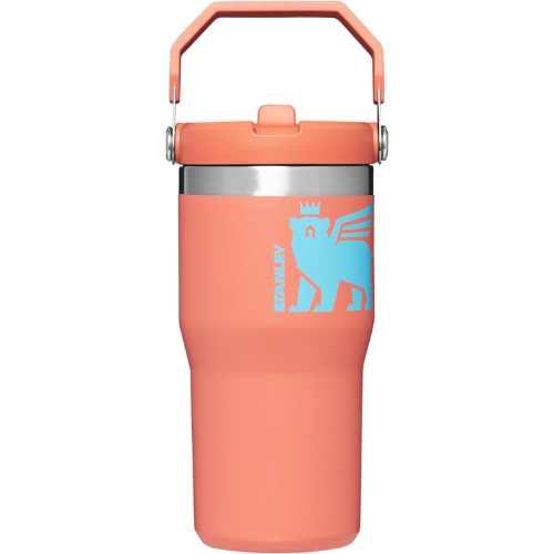 Stanley Classic IceFlow Flip Straw Tumbler for Kids (8 or Above), 20oz, Stan the Bear Stainless Steel, with Double-Wall Vacuum Insulation, 1 Count (Pack of 1)