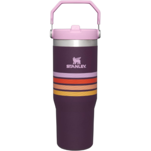 Stanley IceFlow™ Flip Straw Tumbler 30oz Varsity Collection Plum Stripe