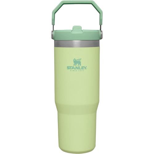 STANLEY IceFlow™ Flip Straw Tumbler 30oz Citron