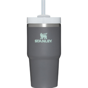 Stanley Quencher H2.0 FlowState Stainless Steel Vacuum Insulated Tumbler with Lid and Straw for Water, Iced Tea or Coffee, Smoothie and More, Charcoal, 20 oz