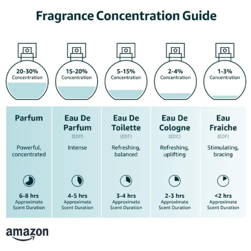 Untitled design - 2025-01-30T145832.707