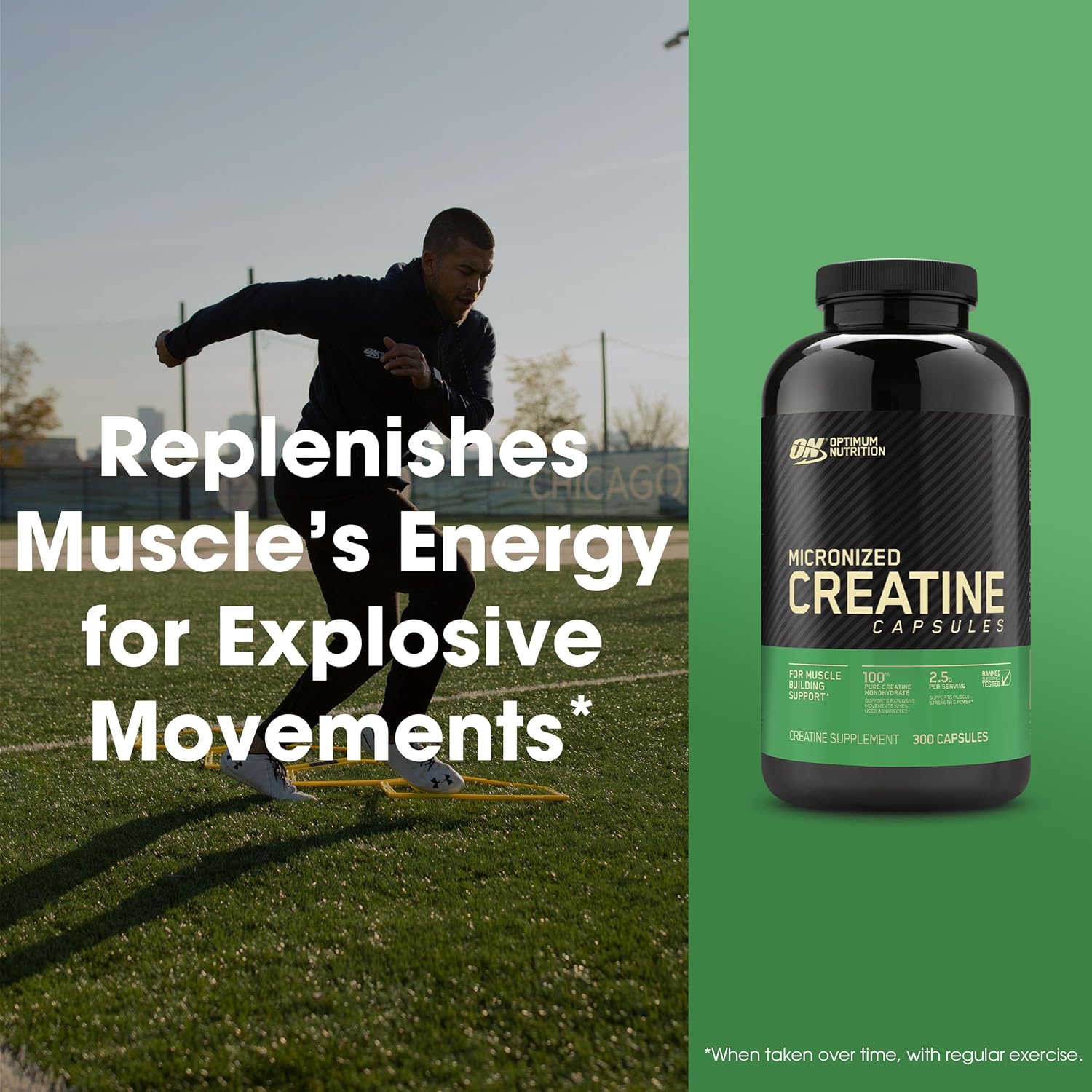 81wdyrwT-kL._AC_SL1500_ (1)